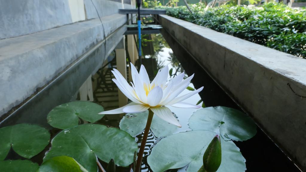 Lullaby Boutique Resort Thap Sakae Екстериор снимка